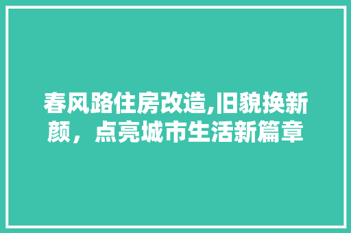 春风路住房改造,旧貌换新颜，点亮城市生活新篇章 汽车维修
