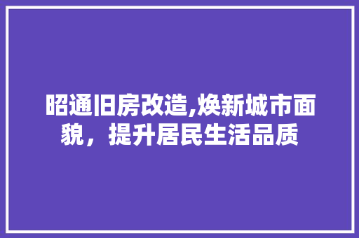 昭通旧房改造,焕新城市面貌，提升居民生活品质
