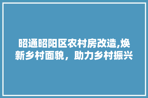 昭通昭阳区农村房改造,焕新乡村面貌，助力乡村振兴 家电维修