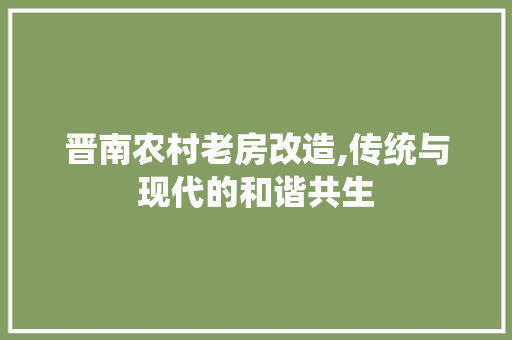 晋南农村老房改造,传统与现代的和谐共生 厨房维修