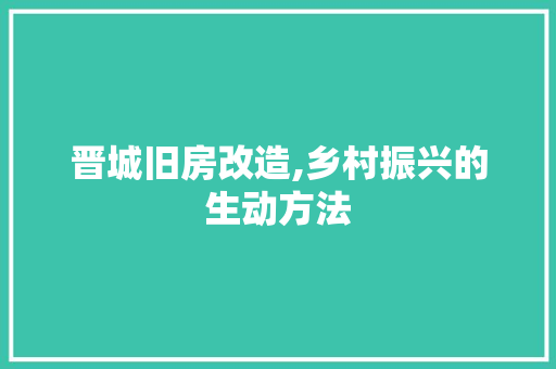 晋城旧房改造,乡村振兴的生动方法 厨房维修