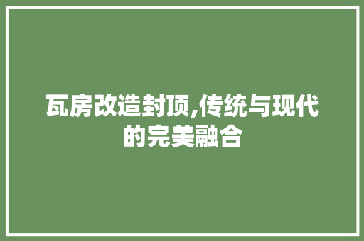 瓦房改造封顶,传统与现代的完美融合 汽车维修