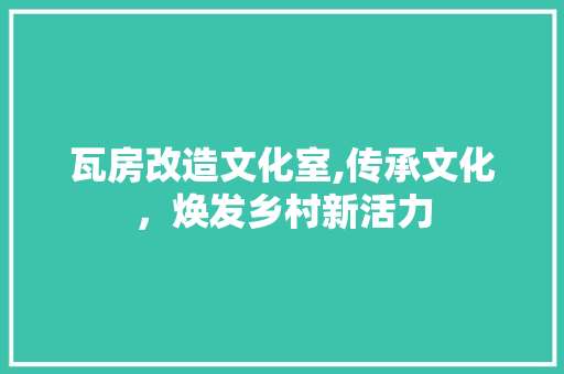 瓦房改造文化室,传承文化，焕发乡村新活力