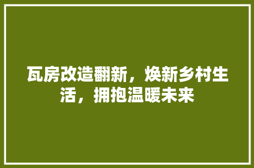 瓦房改造翻新，焕新乡村生活，拥抱温暖未来