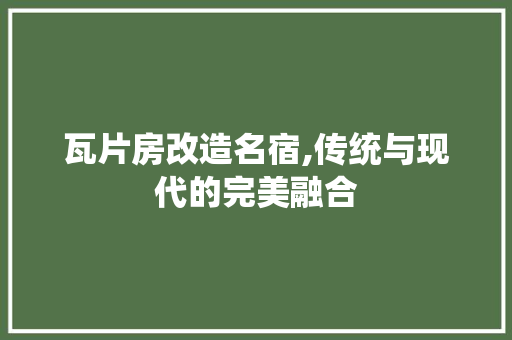 瓦片房改造名宿,传统与现代的完美融合