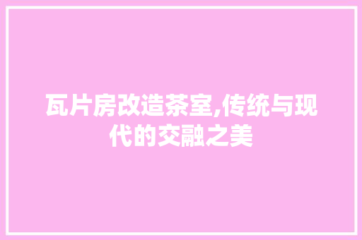 瓦片房改造茶室,传统与现代的交融之美