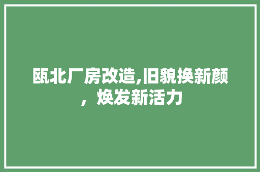 瓯北厂房改造,旧貌换新颜，焕发新活力