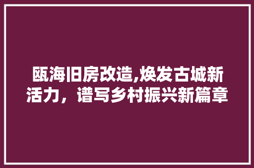 瓯海旧房改造,焕发古城新活力，谱写乡村振兴新篇章