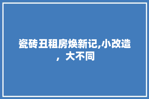瓷砖丑租房焕新记,小改造，大不同