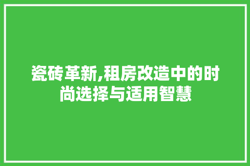 瓷砖革新,租房改造中的时尚选择与适用智慧
