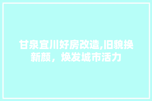 甘泉宜川好房改造,旧貌换新颜，焕发城市活力