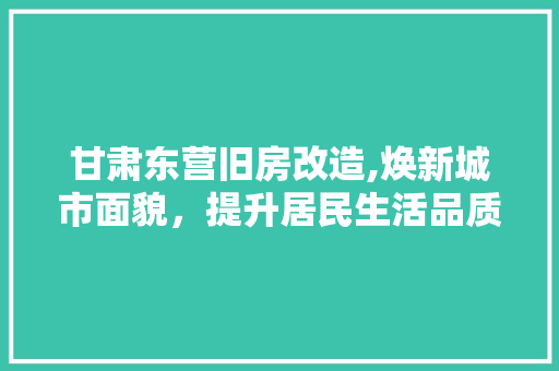 甘肃东营旧房改造,焕新城市面貌，提升居民生活品质