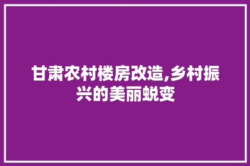 甘肃农村楼房改造,乡村振兴的美丽蜕变