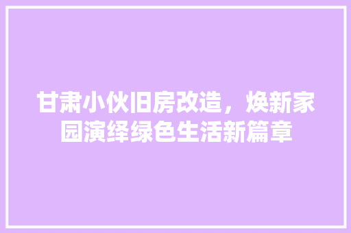 甘肃小伙旧房改造，焕新家园演绎绿色生活新篇章