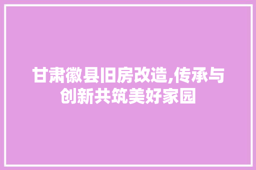 甘肃徽县旧房改造,传承与创新共筑美好家园