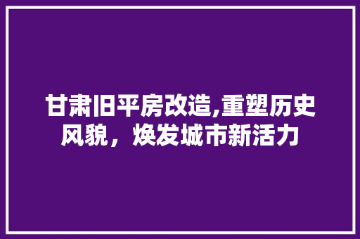 甘肃旧平房改造,重塑历史风貌，焕发城市新活力 汽车维修