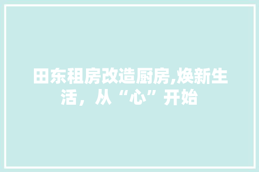 田东租房改造厨房,焕新生活，从“心”开始