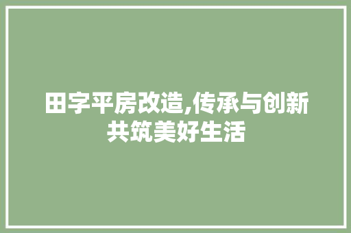 田字平房改造,传承与创新共筑美好生活
