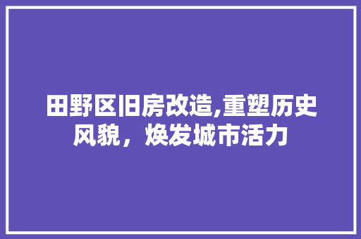 田野区旧房改造,重塑历史风貌，焕发城市活力 厨房维修