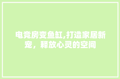 电竞房变鱼缸,打造家居新宠，释放心灵的空间