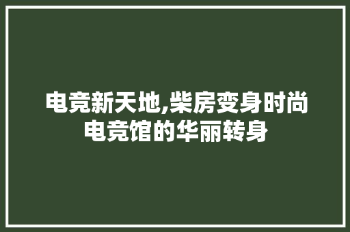 电竞新天地,柴房变身时尚电竞馆的华丽转身