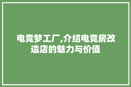 电竞梦工厂,介绍电竞房改造店的魅力与价值