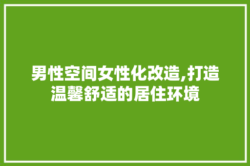 男性空间女性化改造,打造温馨舒适的居住环境