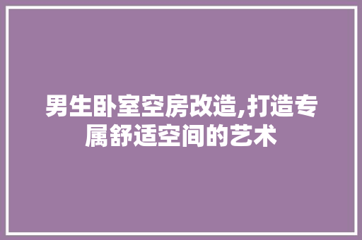 男生卧室空房改造,打造专属舒适空间的艺术