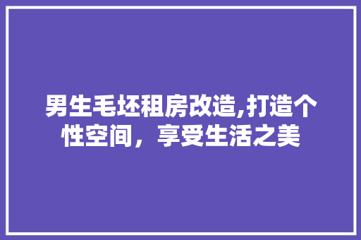男生毛坯租房改造,打造个性空间，享受生活之美
