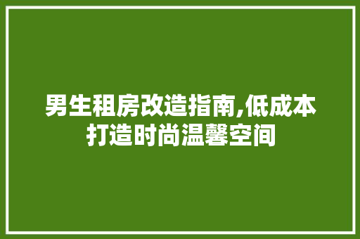 男生租房改造指南,低成本打造时尚温馨空间