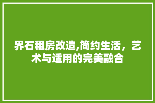 界石租房改造,简约生活，艺术与适用的完美融合