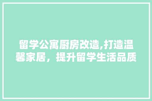 留学公寓厨房改造,打造温馨家居，提升留学生活品质 综合便民