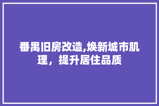 番禺旧房改造,焕新城市肌理，提升居住品质