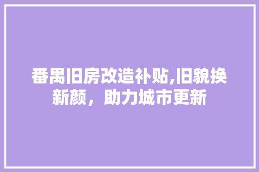 番禺旧房改造补贴,旧貌换新颜，助力城市更新
