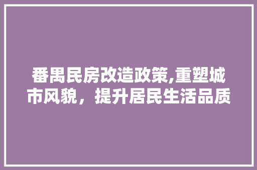 番禺民房改造政策,重塑城市风貌，提升居民生活品质