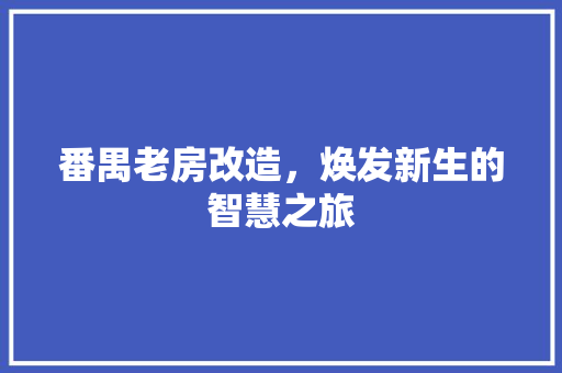 番禺老房改造，焕发新生的智慧之旅