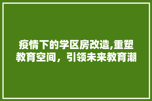 疫情下的学区房改造,重塑教育空间，引领未来教育潮流