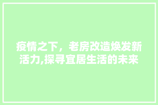 疫情之下，老房改造焕发新活力,探寻宜居生活的未来之路