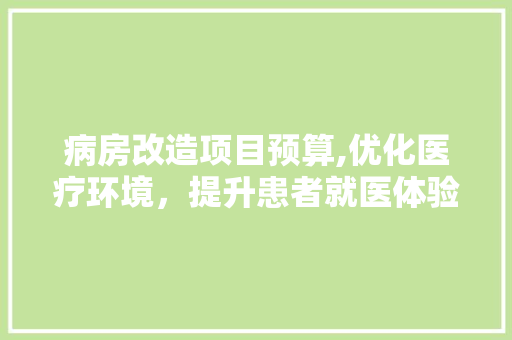 病房改造项目预算,优化医疗环境，提升患者就医体验