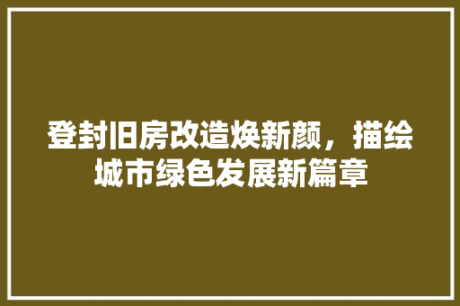 登封旧房改造焕新颜，描绘城市绿色发展新篇章
