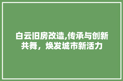白云旧房改造,传承与创新共舞，焕发城市新活力