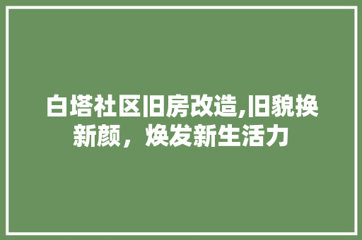 白塔社区旧房改造,旧貌换新颜，焕发新生活力