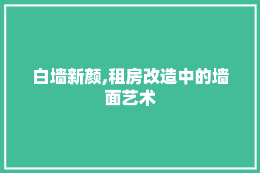 白墙新颜,租房改造中的墙面艺术