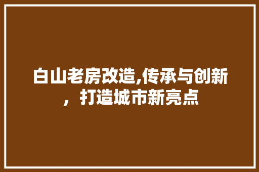 白山老房改造,传承与创新，打造城市新亮点