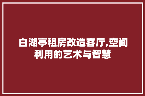 白湖亭租房改造客厅,空间利用的艺术与智慧 厨房维修