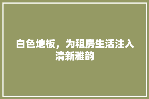 白色地板，为租房生活注入清新雅韵 厨房维修