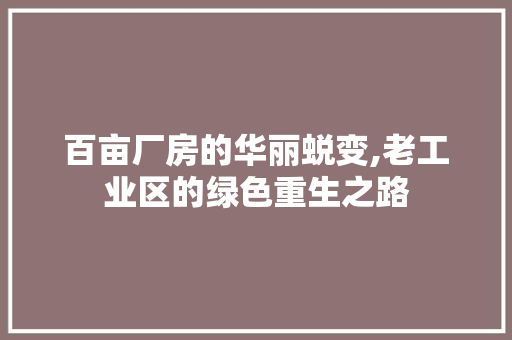 百亩厂房的华丽蜕变,老工业区的绿色重生之路