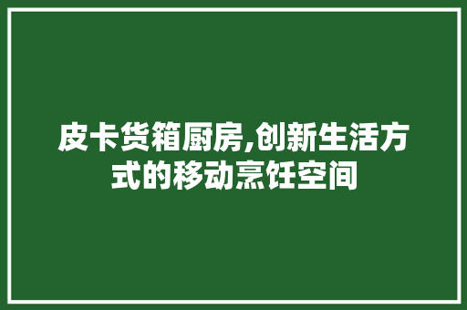 皮卡货箱厨房,创新生活方式的移动烹饪空间
