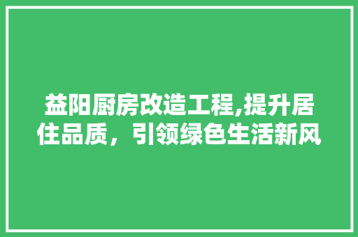 益阳厨房改造工程,提升居住品质，引领绿色生活新风尚