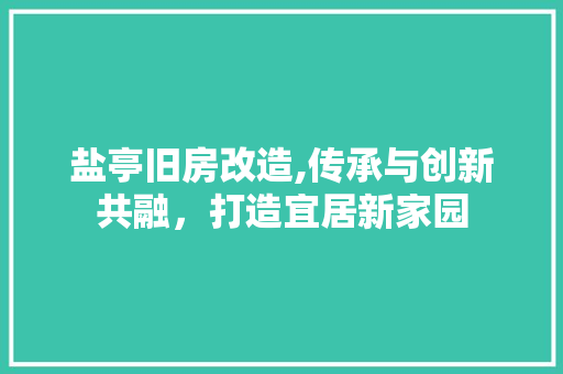 盐亭旧房改造,传承与创新共融，打造宜居新家园